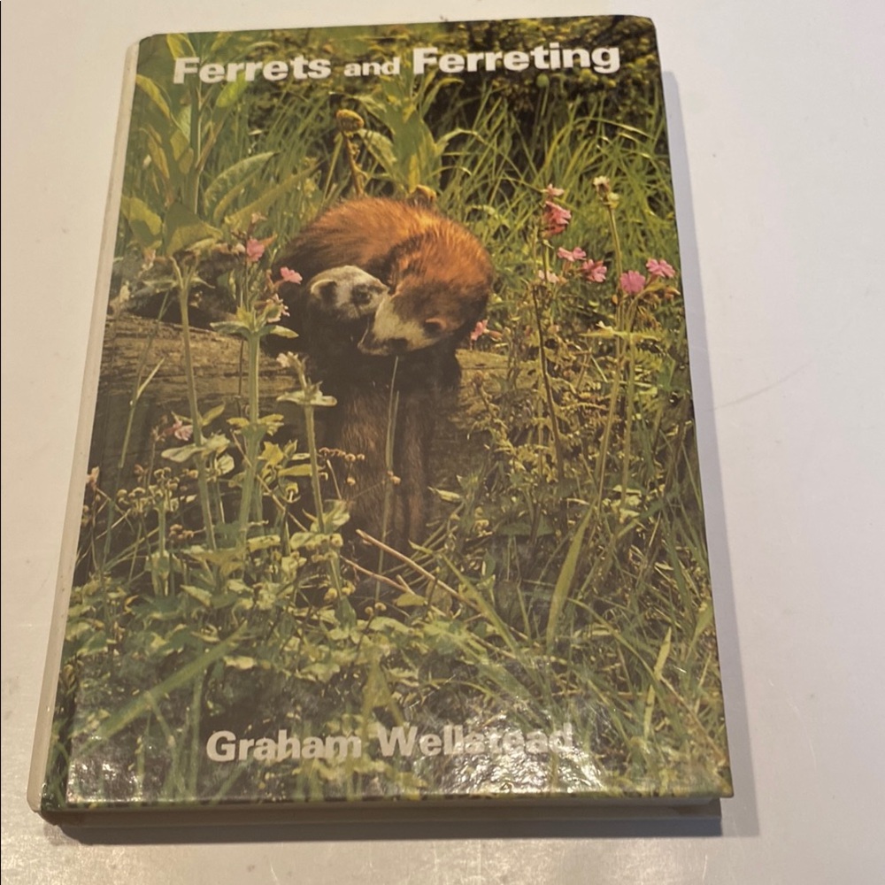 “Ferrets and Ferreting”